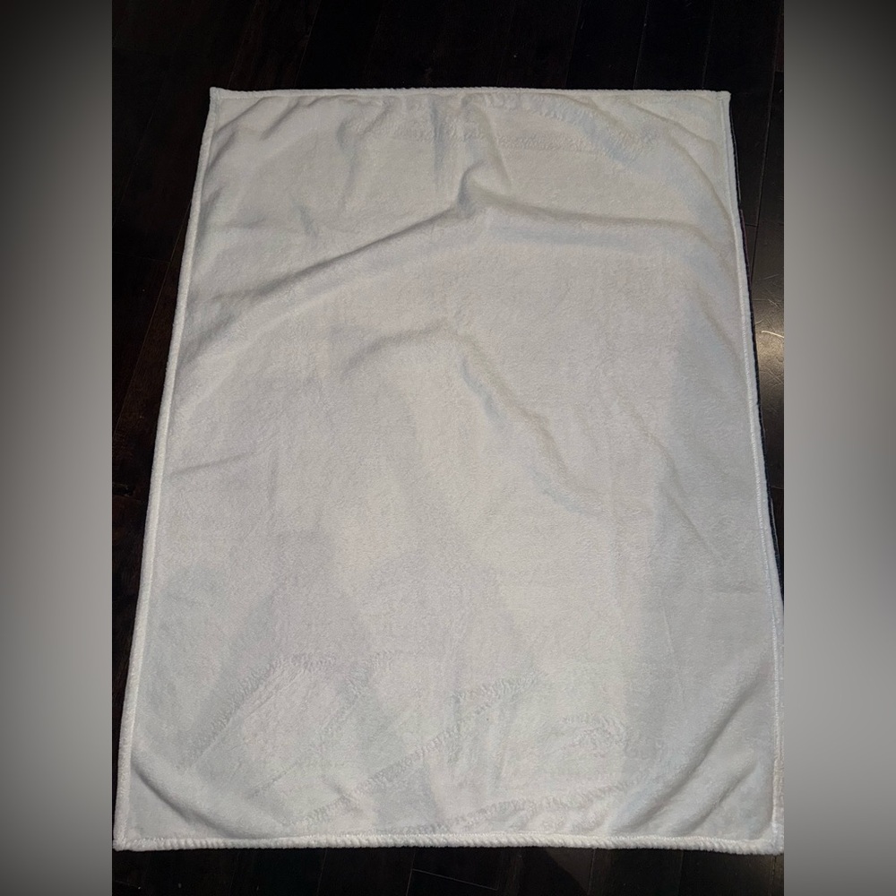 Taylor Swift Eras Tour Plush Blanket 49.5x 39.5 - Picture 6 of 6